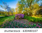 Colorful flowers and trees at Sherwood Gardens Park in Guilford, Baltimore, Maryland.