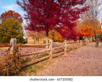 Colorful Foliage In Historic Old Salem, Winston Salem, NC