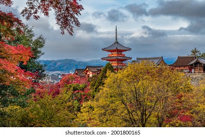 清水寺 紅葉 の画像 写真素材 ベクター画像 Shutterstock