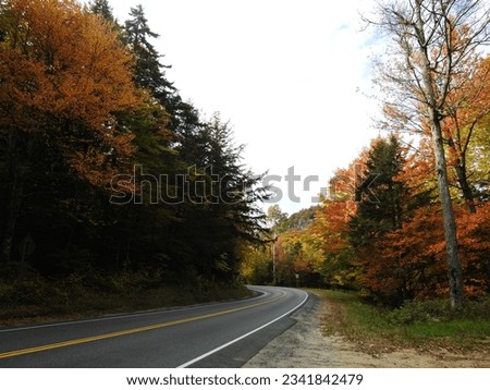 The colorful foliage is a spectacular sight when driving Silver Lake Road during the autumn season. Adirondack Park, Black Brook, Clinton County, New York.