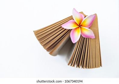 Colorful Fresh Plumeria Flower On Old Book With Space On White Texture Background