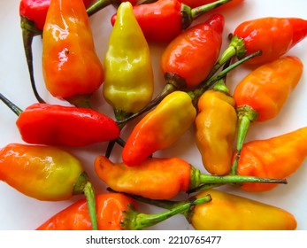 Colorful Of Fresh Small Chili Pepper (Siling Labuyo) On White Background