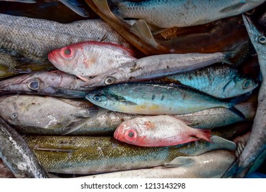 3 Ikan jebong: immagini, foto stock e grafica vettoriale | Shutterstock