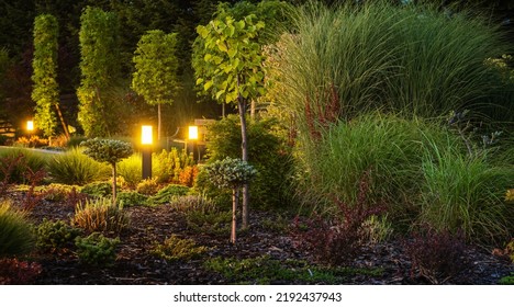 Colorful Full Of Decorative Backyard Garden Illuminated By Outdoor Landscape Lighting. Night Time In A Garden.