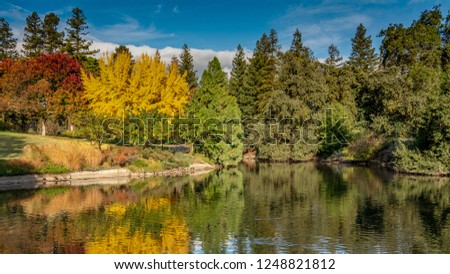Colorful garden in the city of Davis, California, in the Autumn overseeing a lake on a partly cloudy day, with water reflections