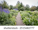 Colorful gardens in Akureyri, Iceland. 