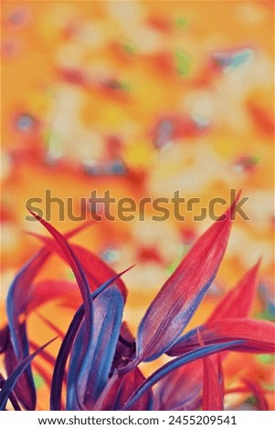 Similar – Image, Stock Photo tulip leaves Leaf Faded