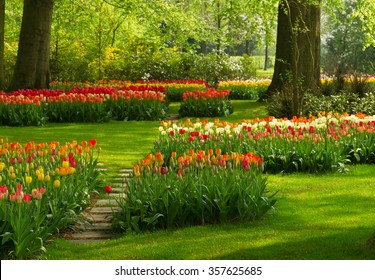 Colorful green lawn and spring flowers  in holland park Keukenhof, Netherlands