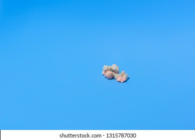 Colorful Gum On Blue Background Gum Stock Photo 1315787030 | Shutterstock