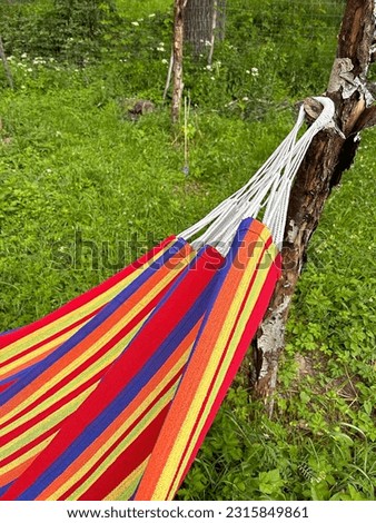 colorful hammock, hammock hanging in the garden, outdoor fabric summer bed, relaxing in the garden, resting place
