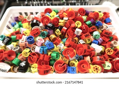 Colorful hanger labels for clothes sizes. Snap on plastic size markers for number sizes and small, short, medium, sale. - Shutterstock ID 2167147841