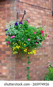 Colorful Hanging Basket Of Summer Plants Attached To A Brick Wall.