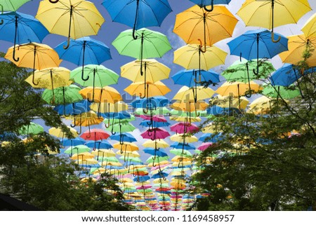 Colorful hanging umbrellas create a festive mood in a tropical environment.