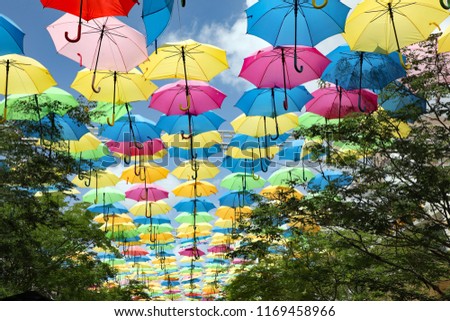Colorful hanging umbrellas create a festive mood in a tropical environment.
