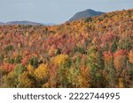 Colorful hillside of autumn foliage and treelined mountain peaks of Pliny Mountain Range in northern section of White Mountain National Forest of New Hampshire.