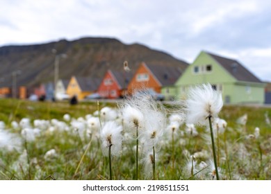 Colorful Homes In Longyearbyen, Svalbard