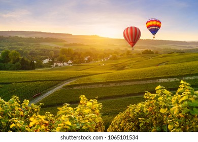 Colorful hot air balloons flying over champagne Vineyards at montagne de Reims, France