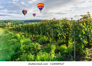 Colorful hot air balloons flying over champagne Vineyards at sunset montagne de Reims, France