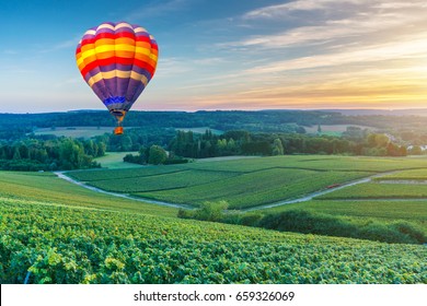 Colorful hot air balloons flying over champagne Vineyards at sunset montagne de Reims, France