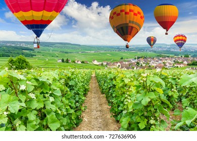 Colorful hot air balloons flying over champagne Vineyards at Montagne de Reims, France