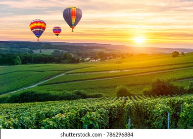 Colorful hot air balloons flying over champagne Vineyards at sunset montagne de Reims, France - Powered by Shutterstock