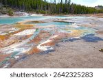 Colorful Hot Spring Pools in the Norris Geyser Basin in Yellowstone National Park in Wyoming