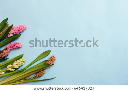 Similar – Tropical palm leaves and exotic flower frames