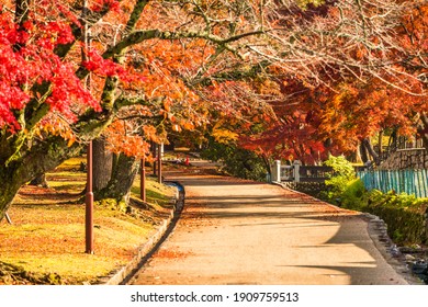 和風庭園high Res Stock Images Shutterstock