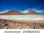 The colorful lagoon Verde in the Andes mountain range of Bolivia with Andes grass, James, Chilean and Andean flamingos as well as a white borax island near the Uyuni salt flat, South America.