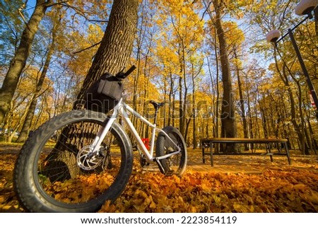 Colorful landscape of golden autumn in the park with a fat bike