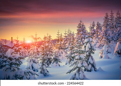 Colorful landscape at the winter sunrise in the mountain forest - Powered by Shutterstock