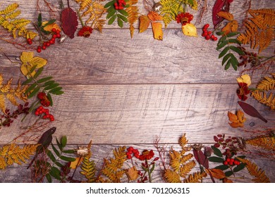 Colorful leaves and autumn flowers on wooden background. Autumn concept, flat lay, top view, copy space