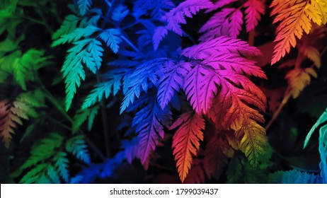 Multicolor High Res Stock Images Shutterstock