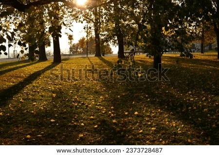 Similar – Herbstspaziergang mit Hund