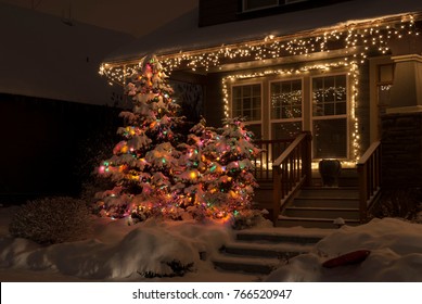 Colorful Lighted Christmas Trees Under Snow At Night