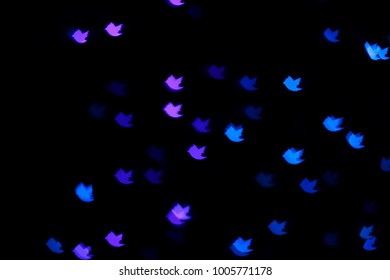 Colorful lighting bokeh in bird icon background. - Powered by Shutterstock