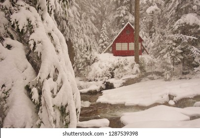 Imagenes Fotos De Stock Y Vectores Sobre Cabin Scenes Shutterstock