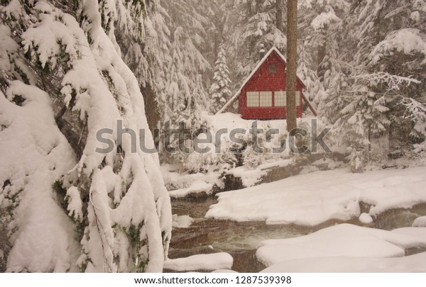 Colorful Little Red Cabin Stands Out Stock Photo Edit Now 1287539398