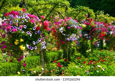 Colorful And Luscious Summer Gardens, Variety Of Flowers And Well Manicured Lawn, Shrubs And Trees With Water Fountains. A Peaceful Sanctuary For Visitors.