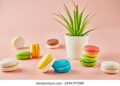 Colorful macaroni with a plant in a pot on a pink background. - Powered by Shutterstock