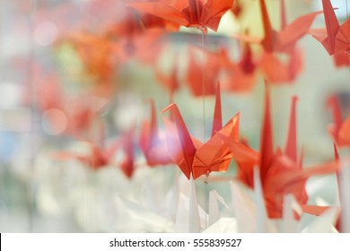 Colorful Of Many Origami Paper Cranes Hanging.