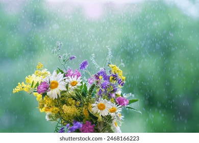 colorful meadow flowers close up in rainy weather, natural abstract background. summer season. symbol of love, romance, purity wild nature. template for design