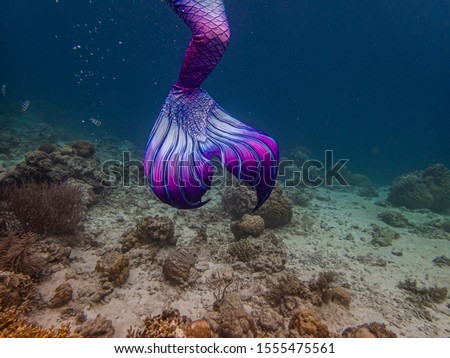 Colorful mermaid tail in a shallow coral reef