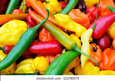 a colorful mix the freshest   hottest chili peppers