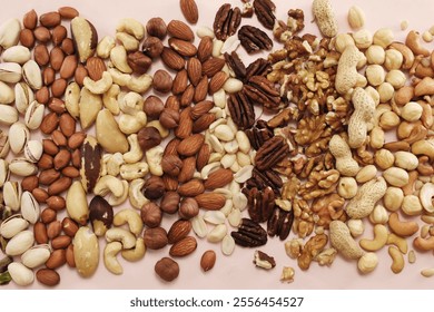 Colorful mix of various nuts: peanut and cashew, hazelnut and almond, pine nuts and walnut; healthy diet snack; vegan food background