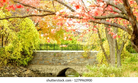 Colorful Morning In Albany NY