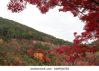 Colorful Mountain In Autumn Foilage