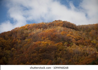 Colorful Mountain Forest In The Changbai Mountains, Northeast China