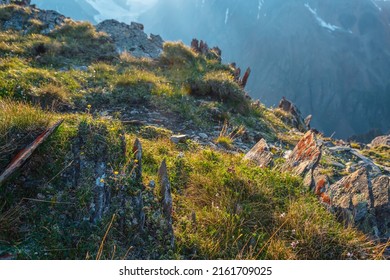 Colorful mountain scenery on abyss edge with sharp stones among green flora in sunlight. Sunny view from cliff at very high altitude. Scenic alpine landscape with beautiful sharp rocks in sunshine.