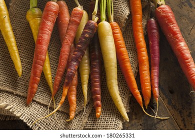 Colorful Multi Colored Raw Carrots On A Background